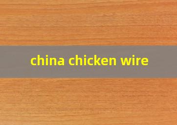  china chicken wire